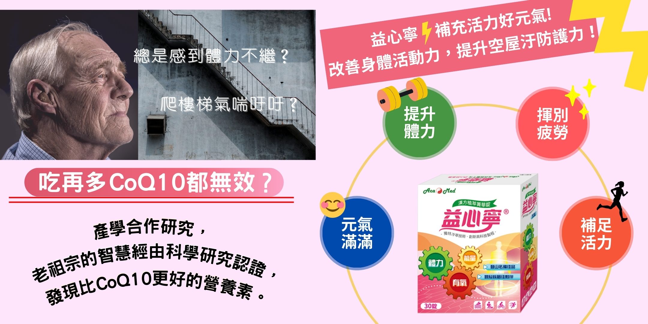 血管